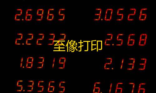 王者荣耀冬瓜直装至像打印